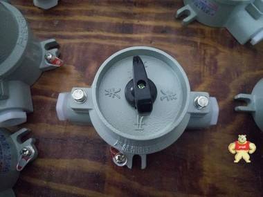 防爆照明开关  SW-10防爆照明开关 SW-10防爆照明开关,防爆照明开关,防爆开关,防爆照明开关厂家