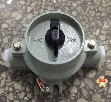 防爆照明开关  SW-10防爆照明开关 SW-10防爆照明开关,防爆照明开关,防爆开关,防爆照明开关厂家