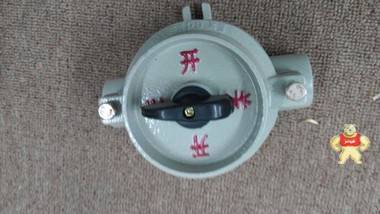 防爆照明开关  SW-10防爆照明开关 SW-10防爆照明开关,防爆照明开关,防爆开关,防爆照明开关厂家