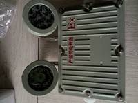 防爆應急燈  BYDLED防爆雙頭應急燈 樂清市浙創(chuàng)防爆電氣有限公司銷售