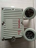 防爆應急燈  BYDLED防爆雙頭應急燈 樂清市浙創(chuàng)防爆電氣有限公司銷售