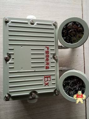 防爆應(yīng)急燈  BYDLED防爆雙頭應(yīng)急燈 樂(lè)清市浙創(chuàng)防爆電氣有限公司銷(xiāo)售 防爆雙頭應(yīng)急燈,BYD防爆雙頭應(yīng)急燈,防爆應(yīng)急燈,防爆雙頭燈,防爆燈