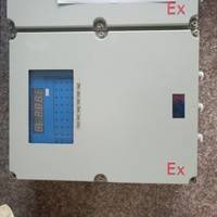 防爆儀表箱  廠家定做防爆儀表箱 樂清市浙創(chuàng)防爆電氣有限公司銷售