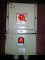BXM防爆照明动力配电箱   防爆照明动力配电箱厂家 定做