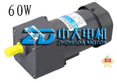 zd中大厂家供应微型小型交流调速齿轮减速变频电机马达 60w 5GU15K 