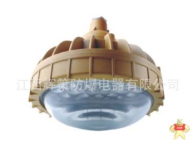 （江西辉策）专业生产防爆免维护BLED5637节能灯（LED）30W/80W 