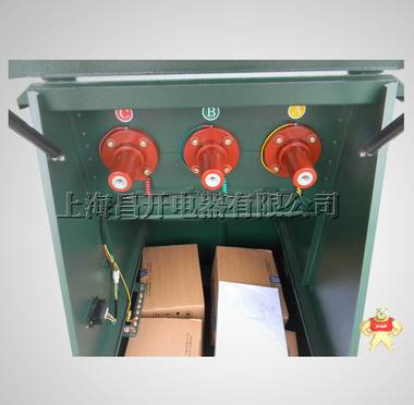 昌開電器DWF-10戶外電纜分支箱歐式不銹鋼1.5厚一進五出帶避雷器 
