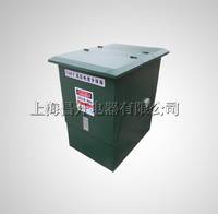昌開電器DWF-10戶外電纜分支箱歐式不銹鋼1.5厚一進五出帶避雷器