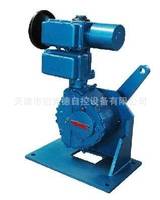 B+RS1825G伯纳德角行程电动执行器