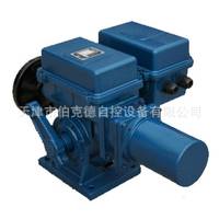 AS-25/F30H伯纳德角行程电动执行器