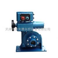 SKD-400伯纳德多回转电动执行器