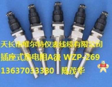 WZP2-269进口A级热电阻Pt100 接插式热电阻 L=185mm 