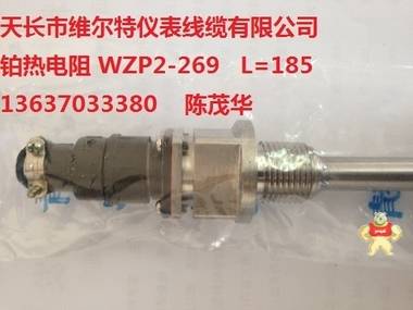 WZP2-269进口A级热电阻Pt100 接插式热电阻 L=200mm 