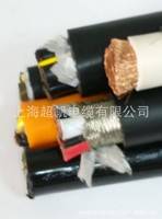 制動(dòng)化設(shè)備電纜rvvsp雙絞屏蔽