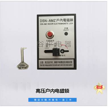 高压户内电磁锁DSN-AMY  AMZ BMY BMZ  AC220V/DC220V DC110V 