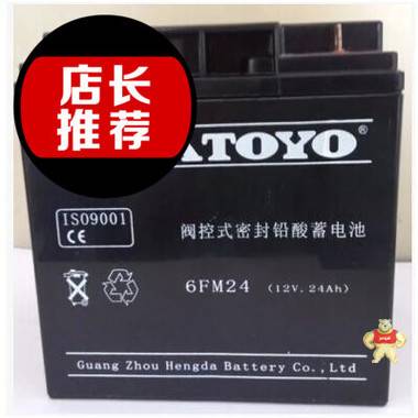 东洋蓄电池6-GFM-24 东洋12V24AH铅酸免维护UPS阀控式蓄电池 可耐阳光科技 