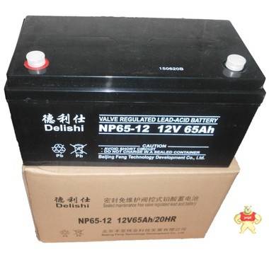 德利仕 12V-65AH UPS不间断电源 NP65-12 蓄电池 65AH 铅酸蓄电池 