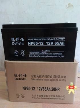 德利仕 12V-65AH UPS不间断电源 NP65-12 蓄电池 65AH 铅酸蓄电池 