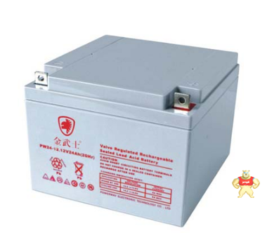 金武士 蓄电池PW38-12-YA（五一促销）优惠价格性能可靠货真价实 路盛电源 