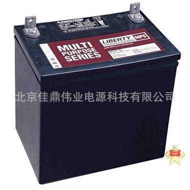 上海大力神蓄电池12V54AH电信专用蓄电池 