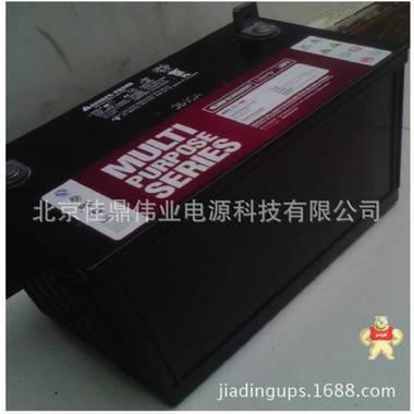 上海大力神蓄电池12V54AH电信专用蓄电池 