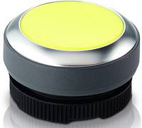 RAFI纳安斐 按钮开关 开孔22mm RAFIX 22FS+系列 1.30.240.021/1500 议价为准 广州纳铁福工业