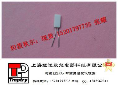 850度德国进口超高温铂电阻PT100-HD421