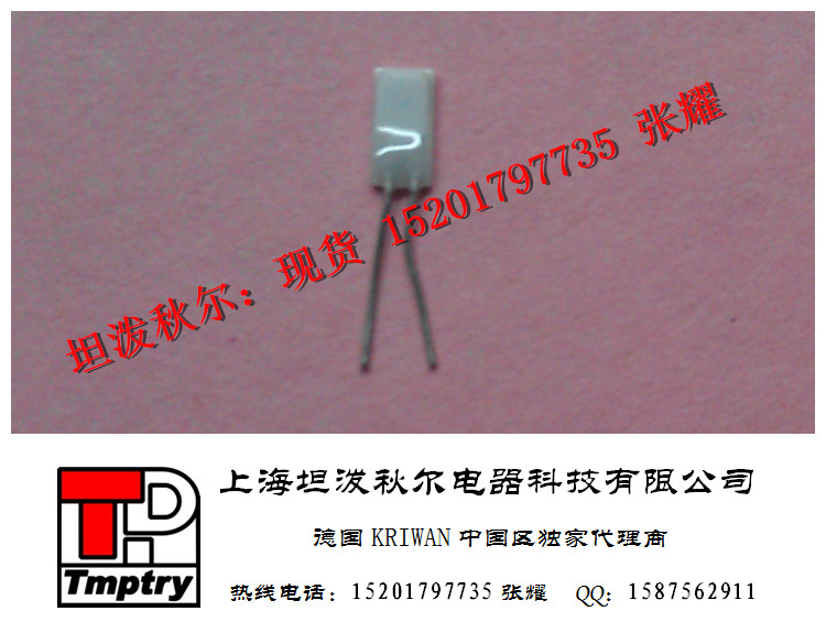 850度德国进口超高温铂电阻PT100-HD421