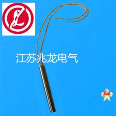 专业厂家生产 江苏推荐电热管FLM3 220/0.6 不锈钢发热管 