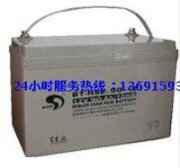 賽特蓄電池BT-HSE-90-12 UPS/EPS電源直流屏