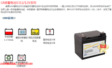 GNB蓄电池2V800AH美国Powerfit 蓄电池S302/800直流屏UPS电源EPS 