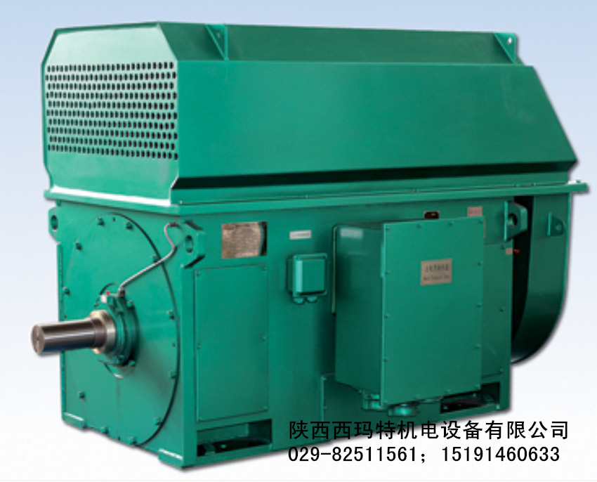 西玛电机现货 YKK5006-10 355KW 10KV IP54 高压电机 泰富西玛