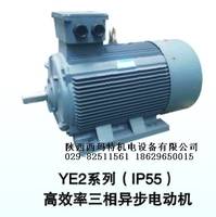 ZBT-12 1.3KW110V3000R西玛电机 铁路专用直流电机