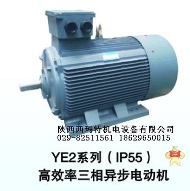 ZBT-12 1.3KW110V3000R西瑪電機 鐵路專用直流電機 