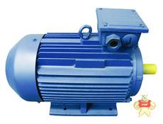 YE2-132S-4-IP55