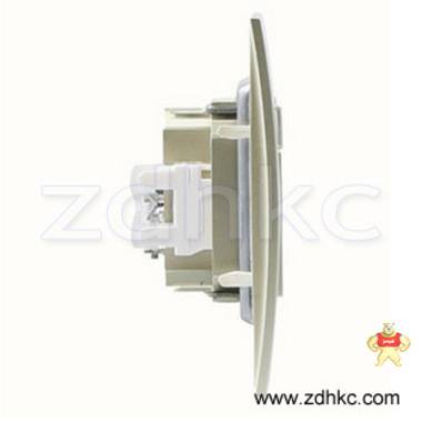 ABB 开关插座 由艺香槟金二位电视电话插座AU32444-PGPG 厦门市狄豪自动化设备有限公司 