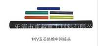 1KV五芯电缆热缩中间接头 热缩电缆附件 10-400平方 JSY-1/5.1