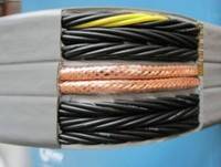 柔软扁线 TVVB 3*1.5随行电缆