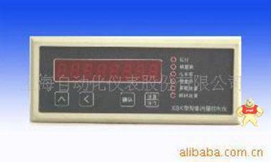 供应上海自动化仪表九智能流量积算仪SXP-3113 上海自动化仪表有限公司官网 