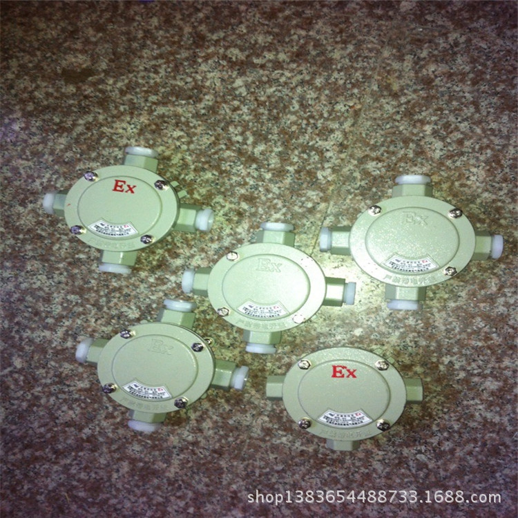 防爆接线盒 AH-G3/4一通接线盒AHG3/4,防爆接线盒