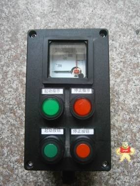 ZC/BXX52系列防爆配电箱（动力）检修箱两灯两按钮一表防爆防腐 防爆配电箱,防爆配电箱,防爆配电箱,防爆配电箱,防爆配电箱
