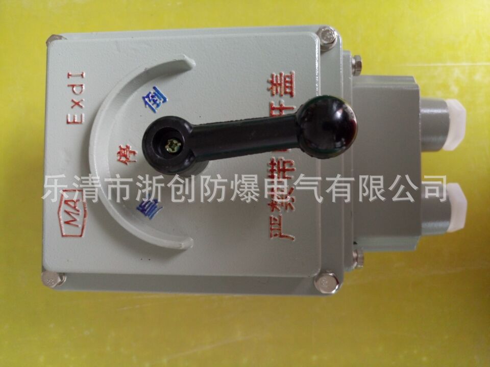 防爆倒顺开关电机正反转防爆开关BQXN-25A/380V
