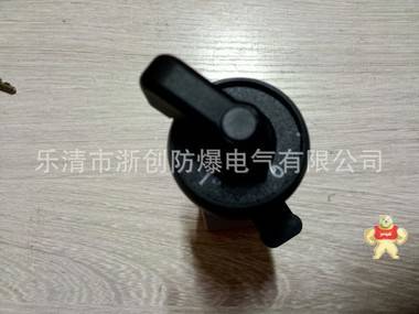 ZC/BDA防爆二檔轉(zhuǎn)換開關(guān)開孔尺寸30 廠家生產(chǎn)浙創(chuàng)防爆 防爆二檔轉(zhuǎn)換開關(guān),防爆二檔轉(zhuǎn)換開關(guān),防爆二檔轉(zhuǎn)換開關(guān),防爆二檔轉(zhuǎn)換開關(guān),防爆二檔轉(zhuǎn)換開關(guān)