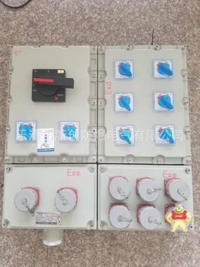 BXX51-1K(带插头插座)防爆检修插座箱 防爆检修插座箱,防爆检修插座箱,防爆检修插座箱,防爆检修插座箱,防爆检修插座箱