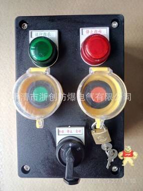 BZC53-A2D2K1B1G防爆操作柱,BZC53-A2D2G防爆操作箱 防爆操作柱,防爆操作柱,防爆操作柱,防爆操作柱,防爆操作柱