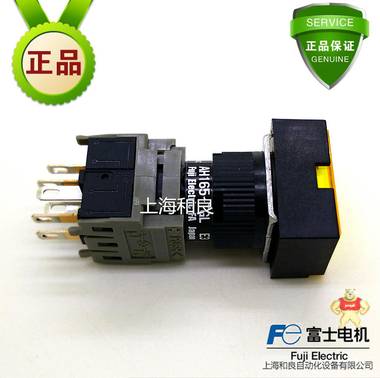 富士带灯按钮 按钮开关 富士按钮 富士按钮开关AH165-TGLY11E3