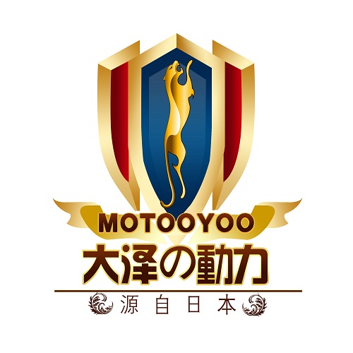 大泽＆动力发电机