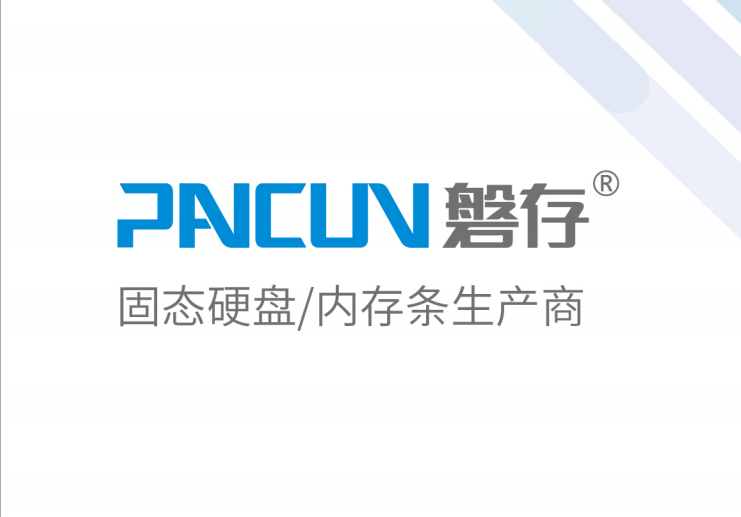 深圳市磐存科技有限公司